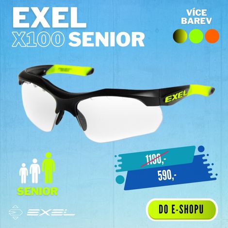 ochranné brýle EXEL X100
